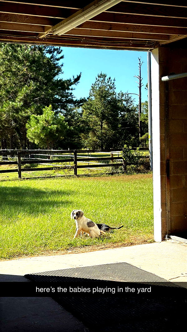 mckinley_1 image ~ Altpins