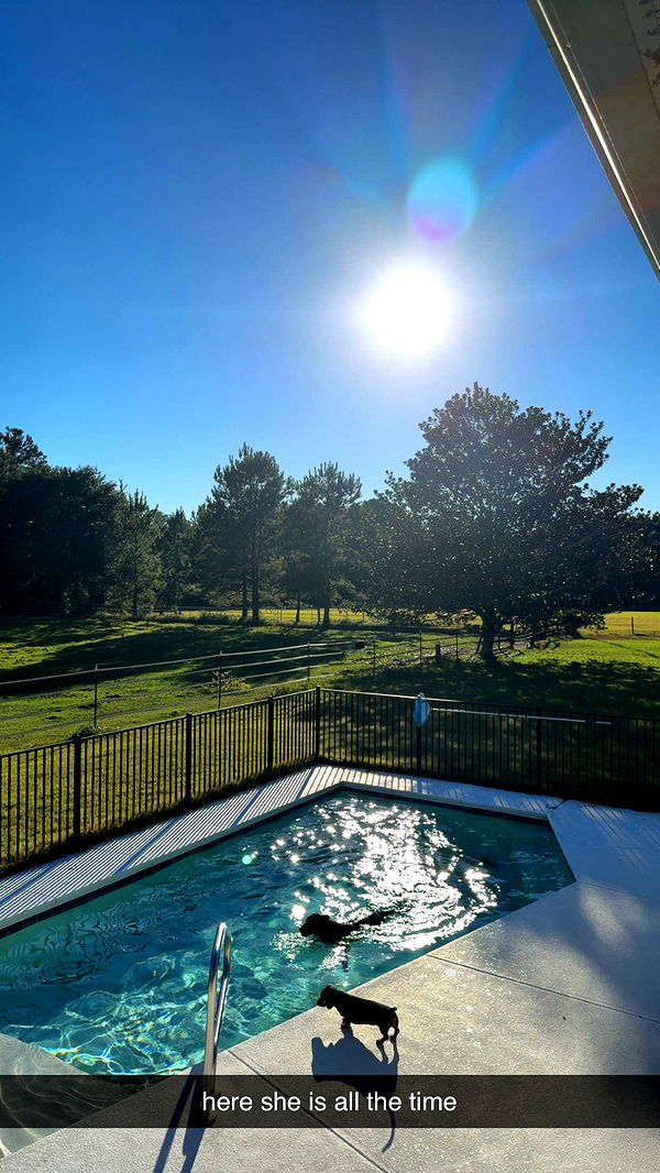 mckinley_1 image ~ Altpins