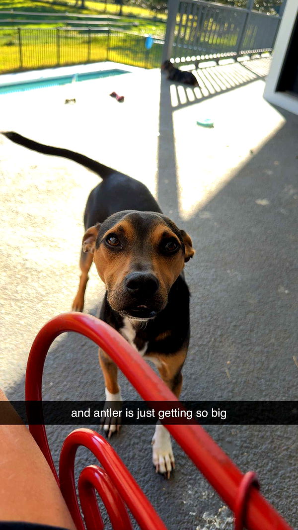 mckinley_1 image ~ Altpins