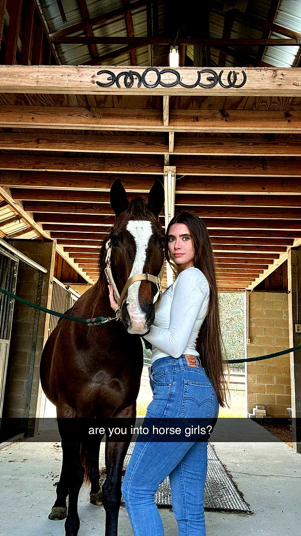 mckinley_1 image ~ Altpins