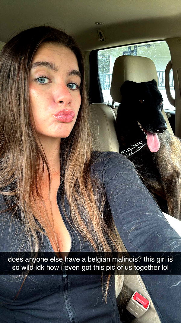 mckinley_1 image ~ Altpins