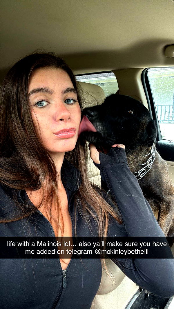 mckinley_1 image ~ Altpins