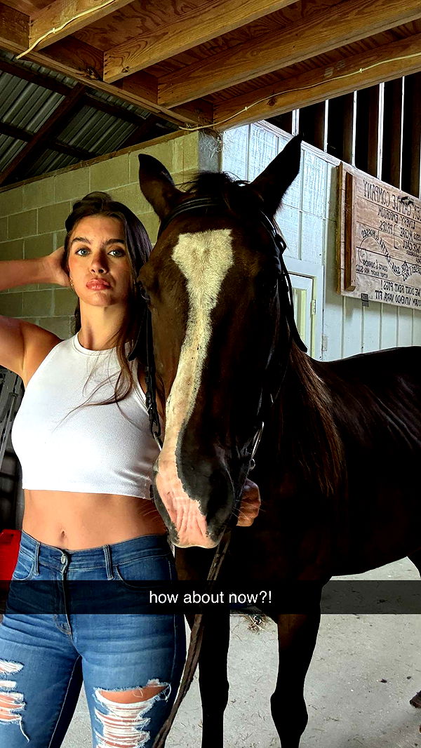 mckinley_1 image ~ Altpins