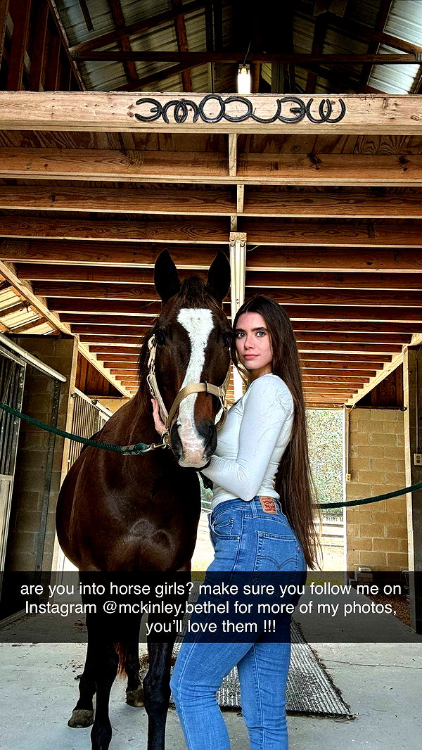 mckinley_1 image ~ Altpins