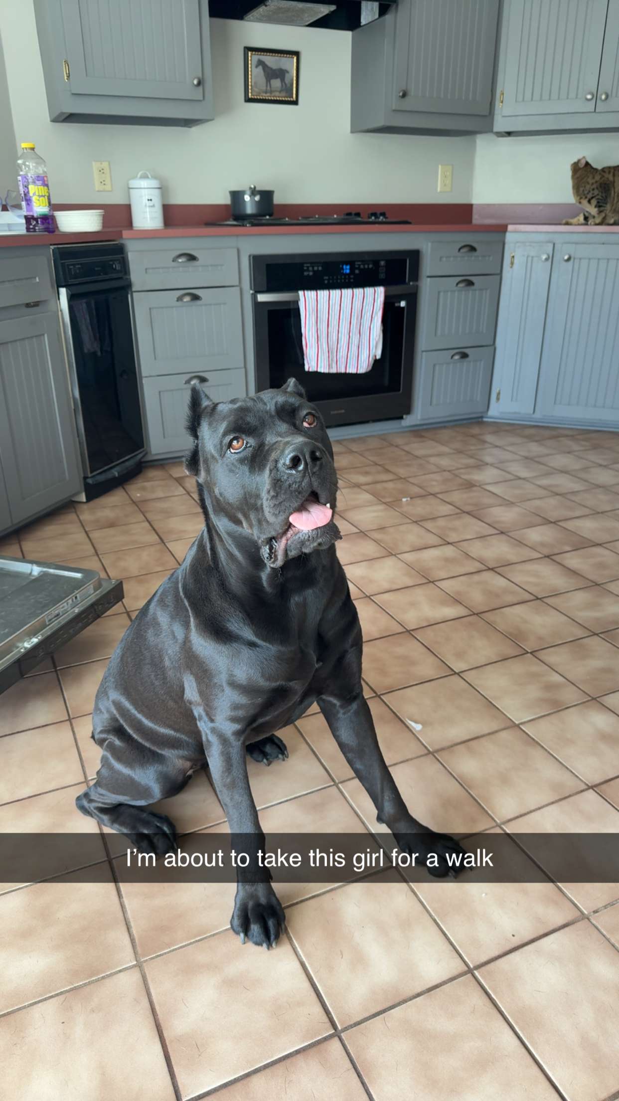 mckinley_1 snapchat image archive image