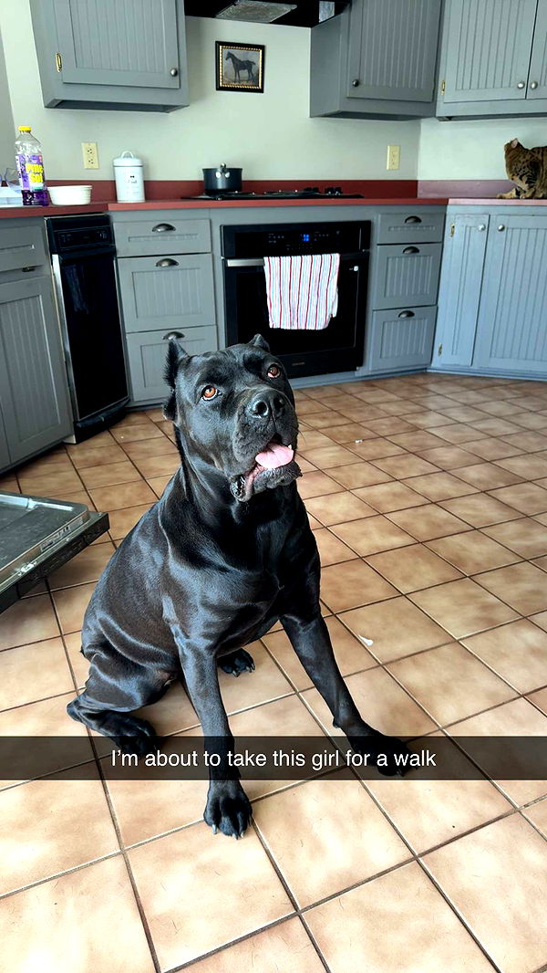 mckinley_1 image ~ Altpins