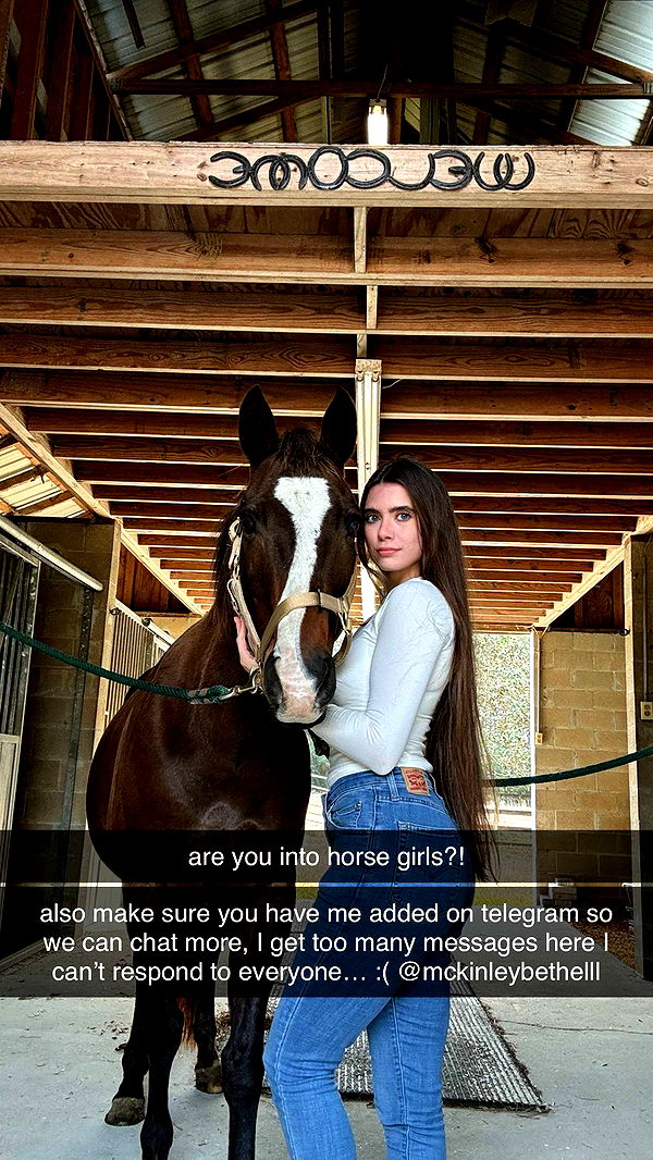 mckinley_1 image ~ Altpins