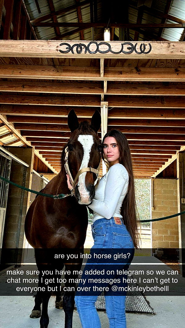 mckinley_1 image ~ Altpins