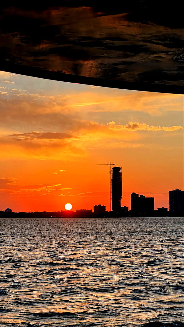 meelahrobbins image ~ Altpins