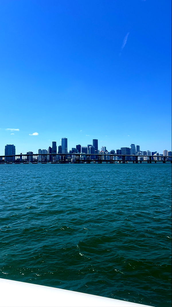 meelahrobbins image ~ Altpins