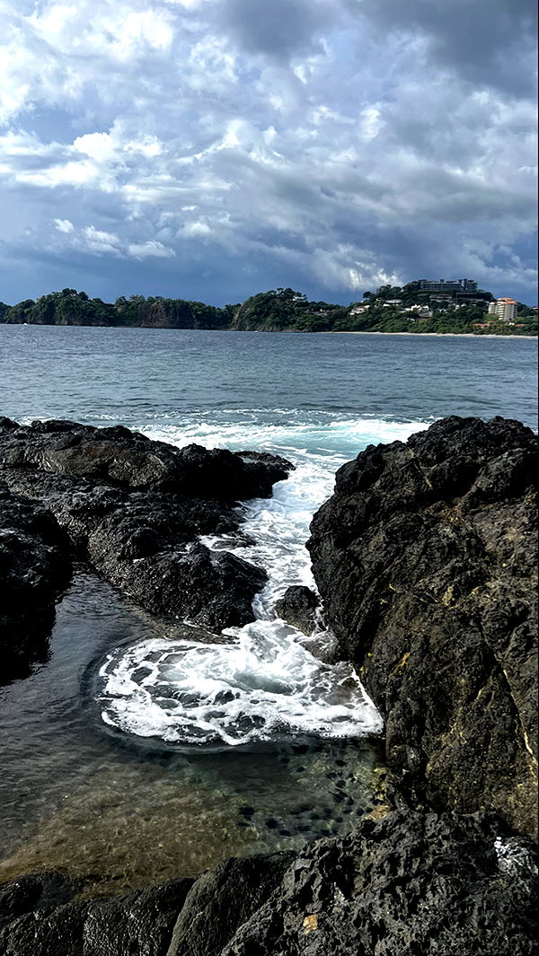 meelahrobbins image ~ Altpins