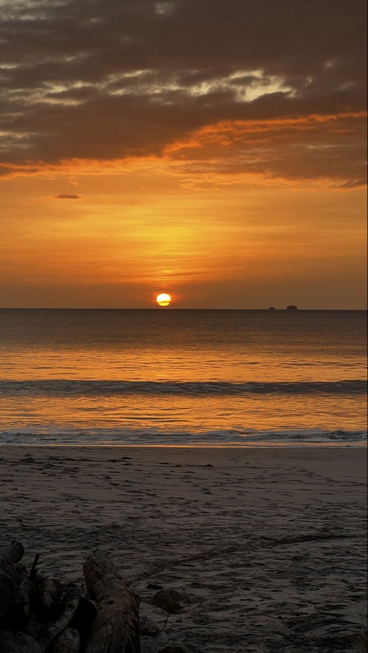 meelahrobbins snapchat image archive image