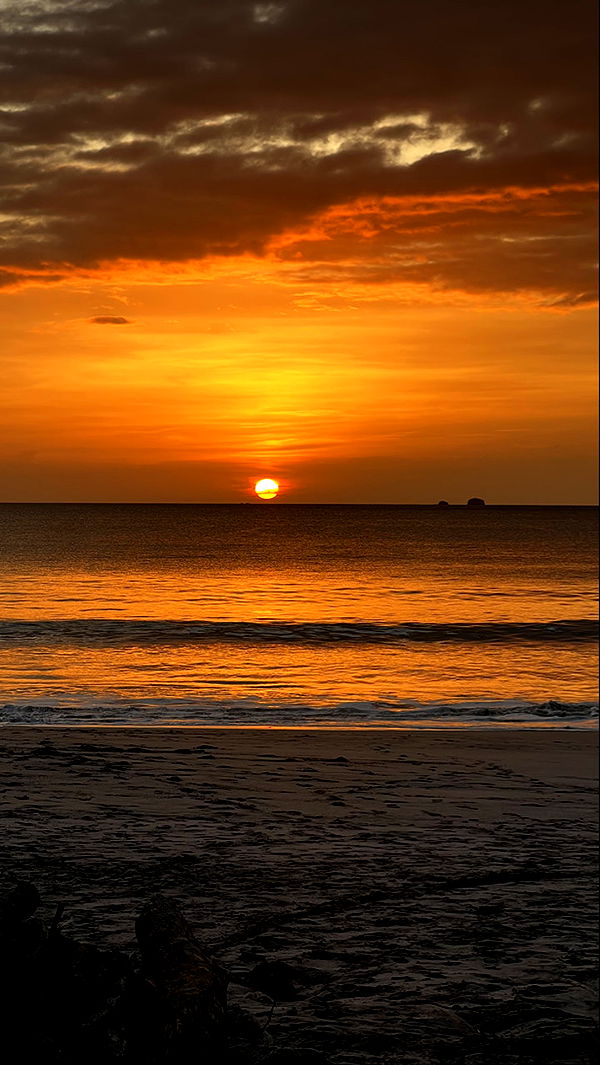 meelahrobbins image ~ Altpins