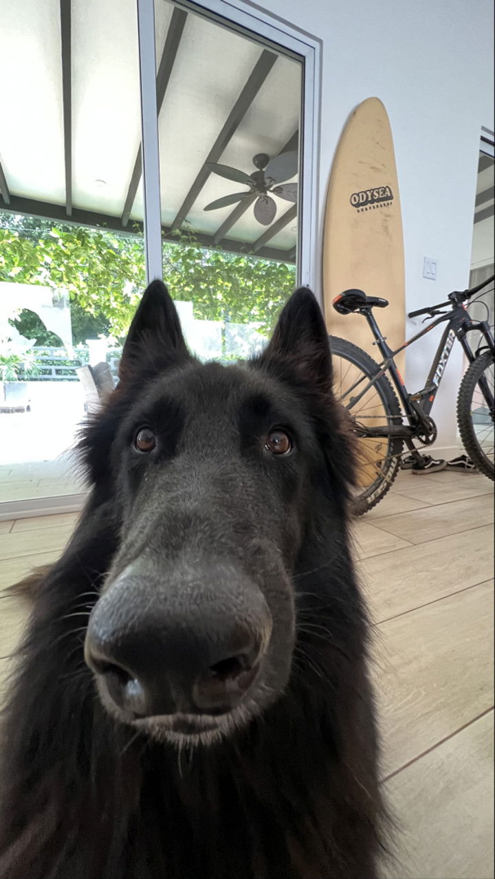 meelahrobbins snapchat image archive image