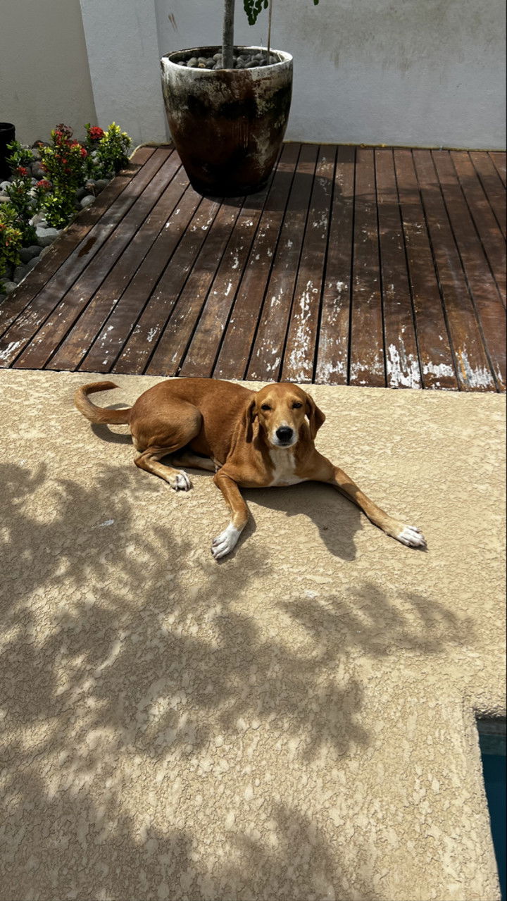 meelahrobbins snapchat image archive image