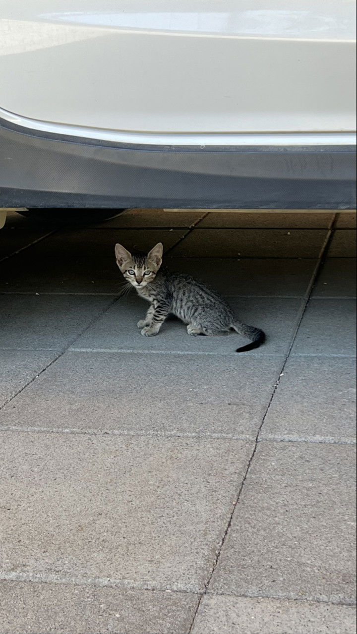 meelahrobbins snapchat image archive image