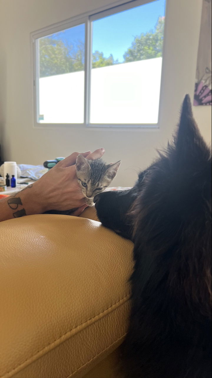 meelahrobbins snapchat image archive image