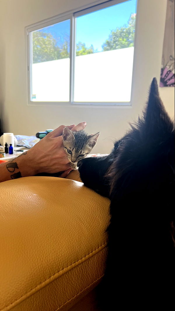 meelahrobbins image ~ Altpins