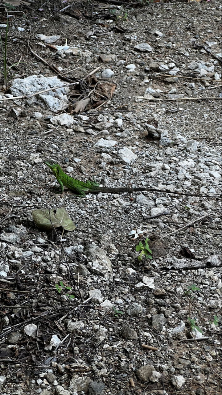 meelahrobbins snapchat image archive image