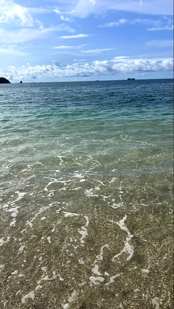 meelahrobbins image ~ Altpins