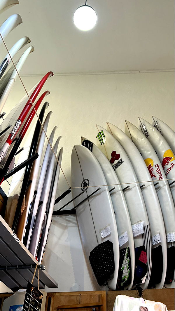 meelahrobbins image ~ Altpins