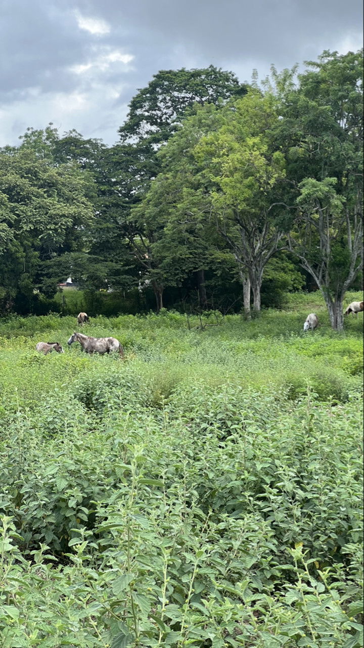 meelahrobbins snapchat image archive image