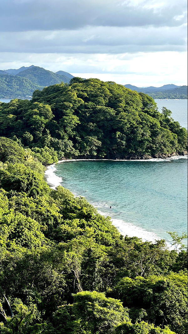 meelahrobbins image ~ Altpins