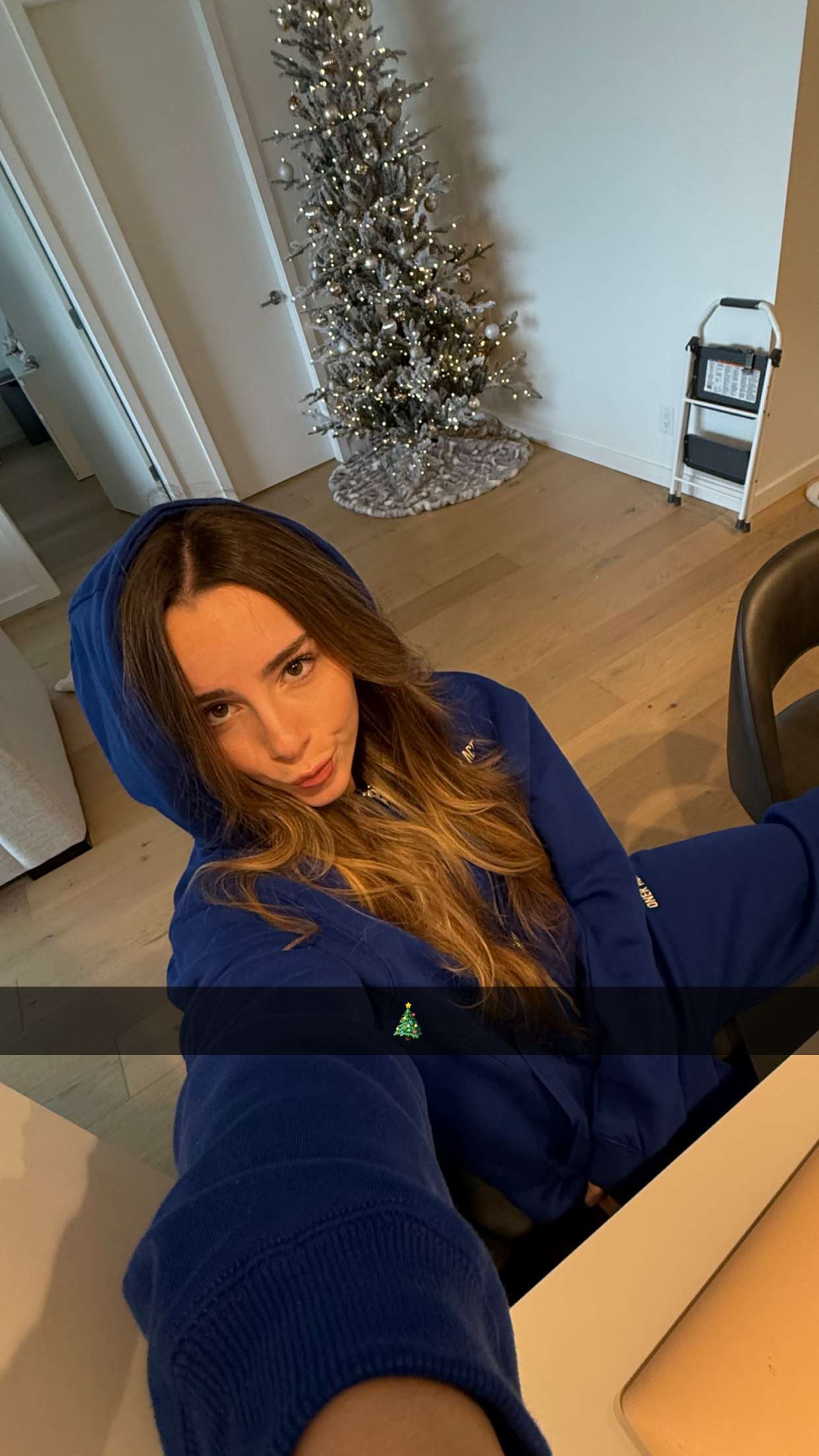 meelahrobbins snapchat image archive image