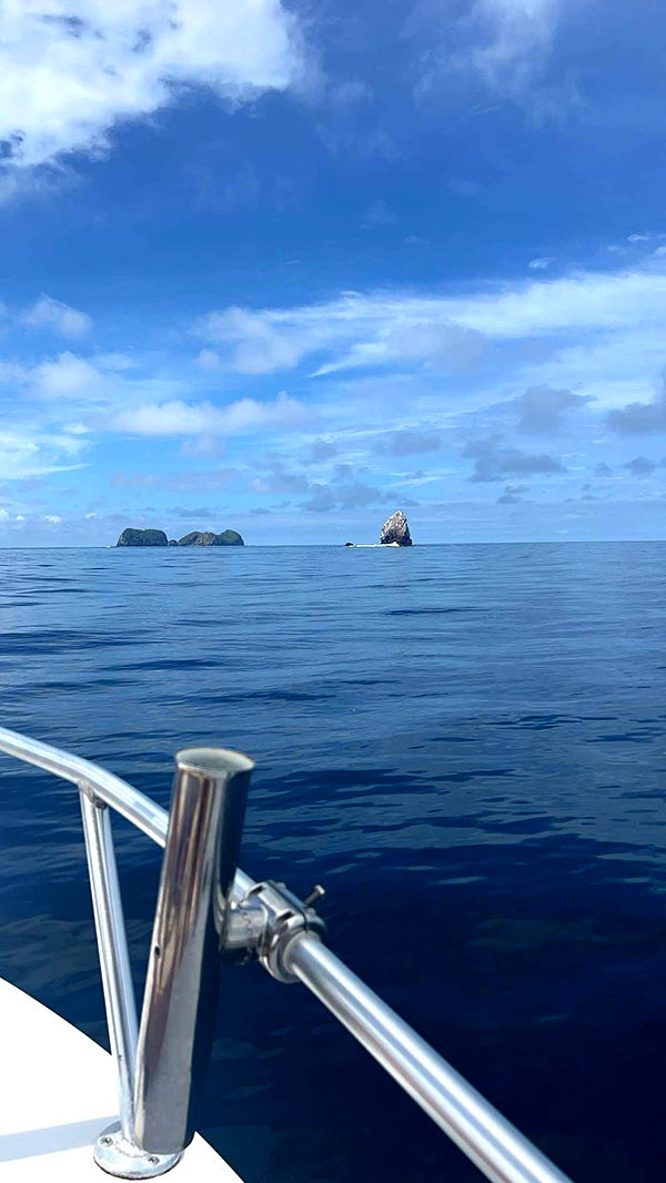 meelahrobbins image ~ Altpins