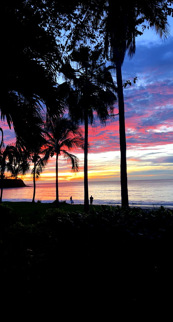 meelahrobbins image ~ Altpins