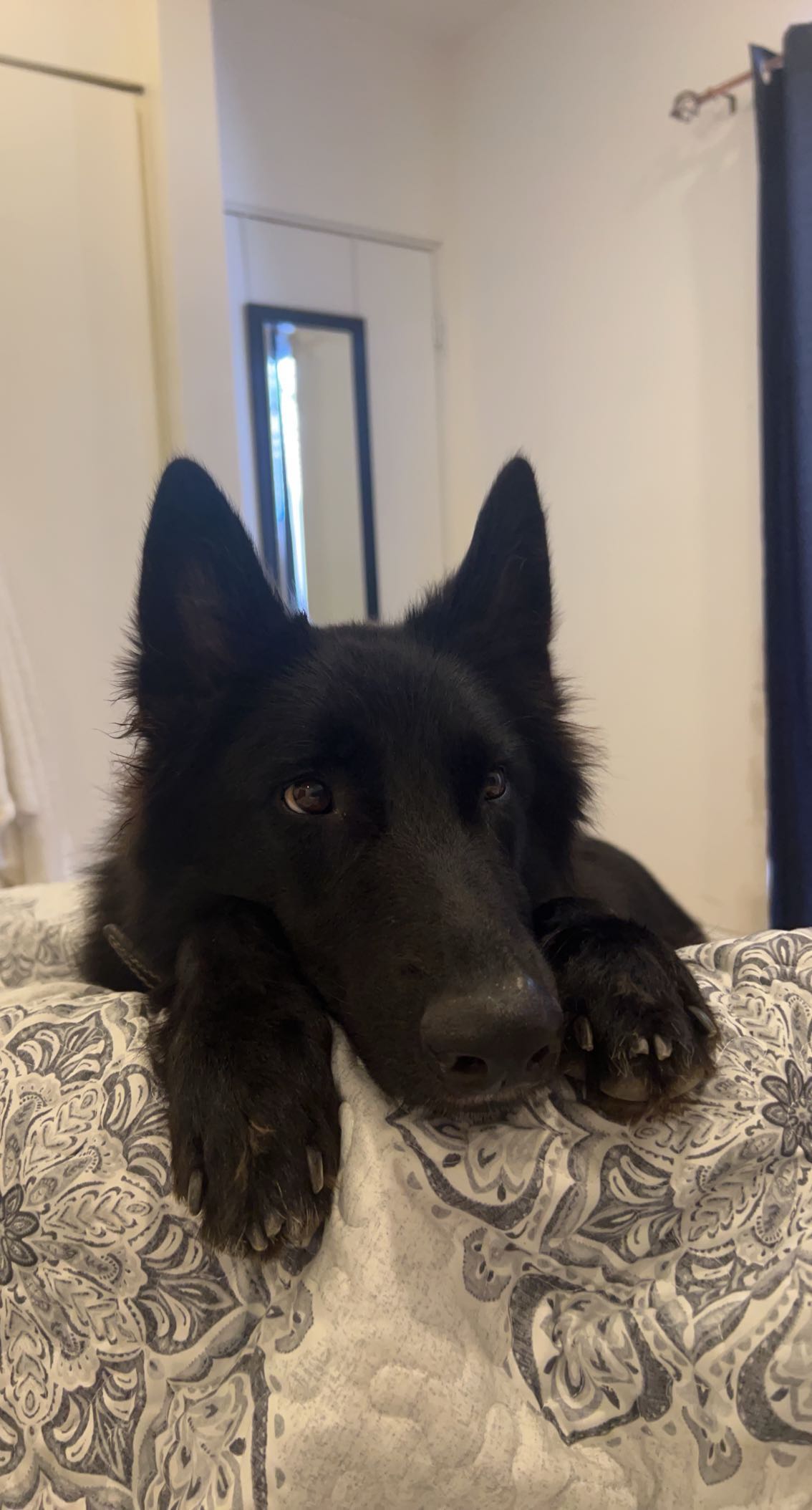 meelahrobbins snapchat image archive image