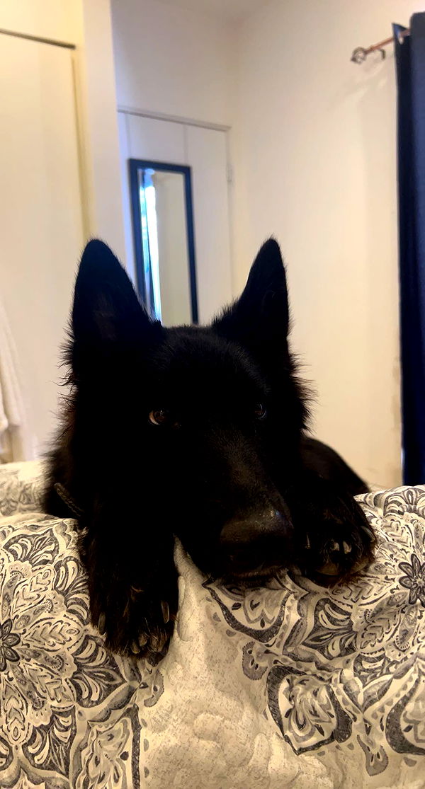 meelahrobbins image ~ Altpins