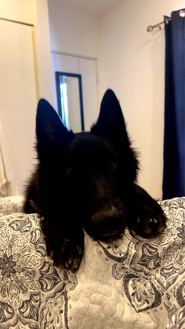 meelahrobbins image ~ Altpins