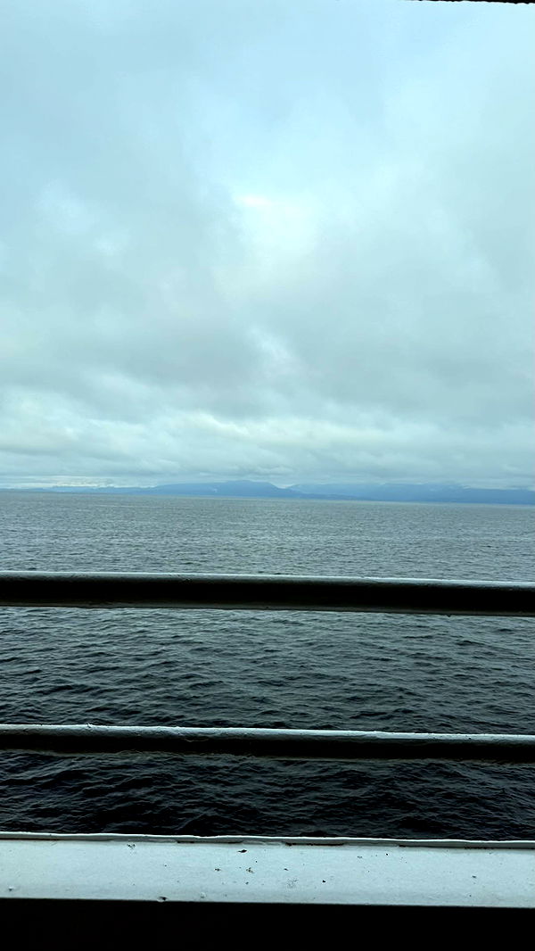 meelahrobbins image ~ Altpins