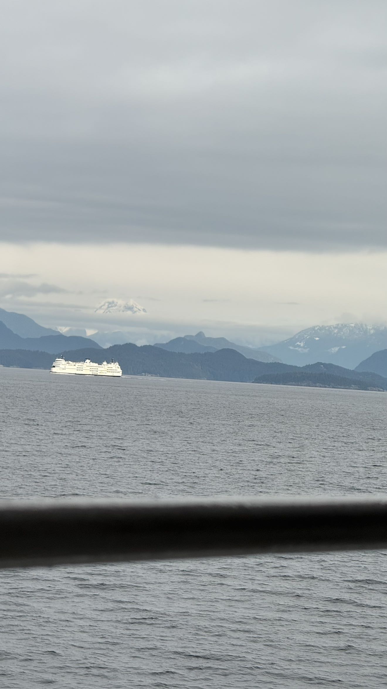 meelahrobbins snapchat image archive image