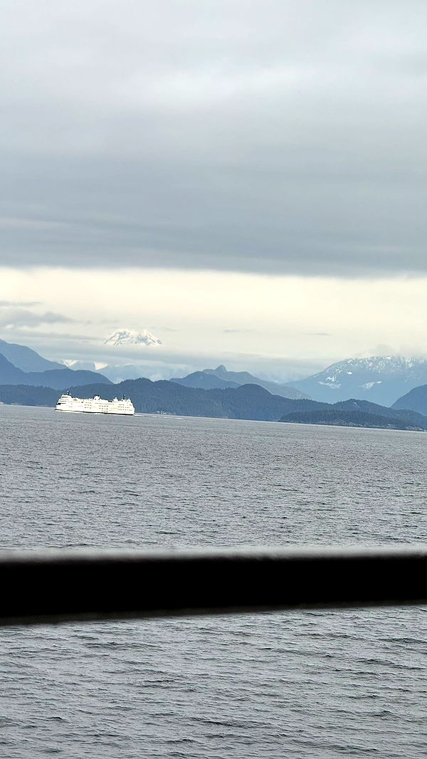 meelahrobbins image ~ Altpins