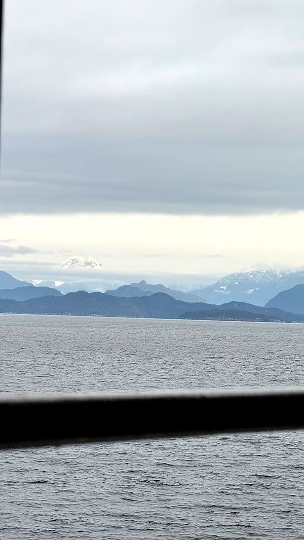 meelahrobbins image ~ Altpins