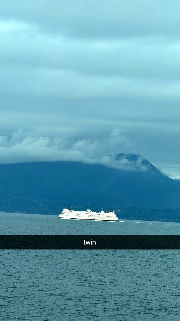 meelahrobbins image ~ Altpins