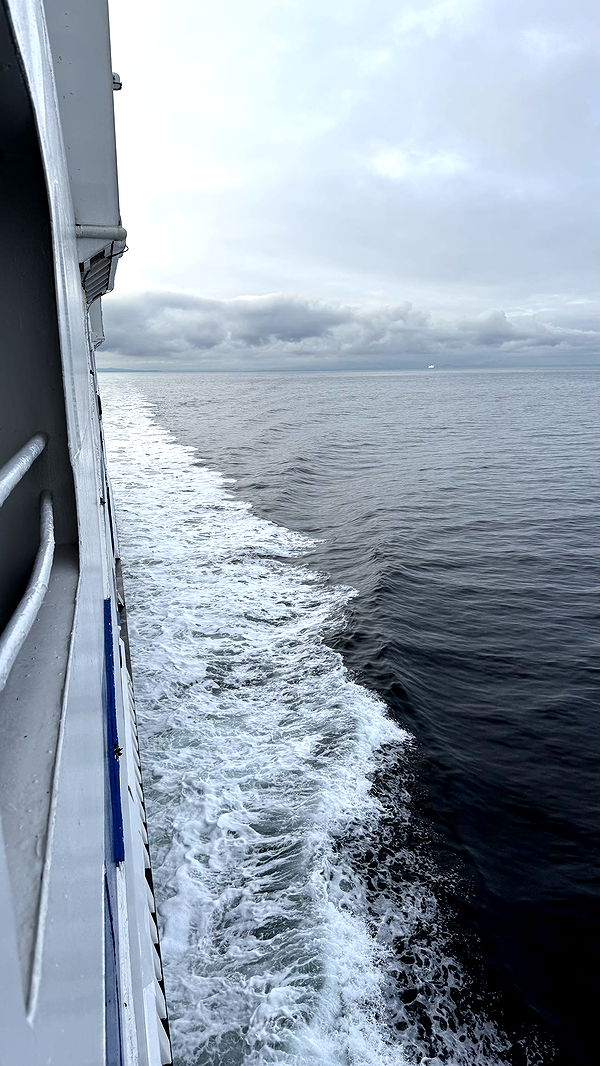 meelahrobbins image ~ Altpins