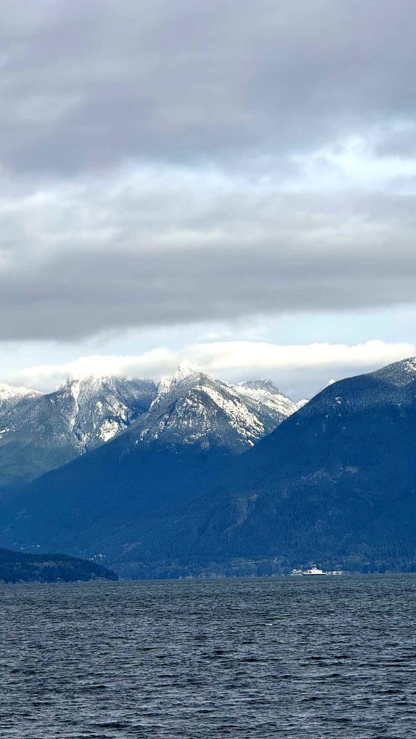 meelahrobbins image ~ Altpins