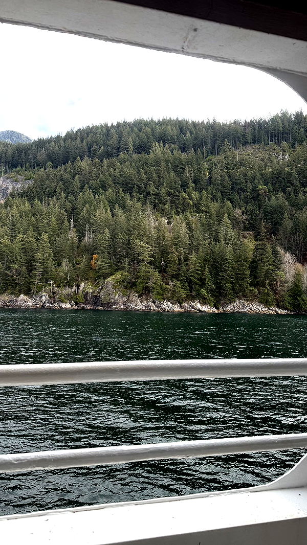 meelahrobbins image ~ Altpins