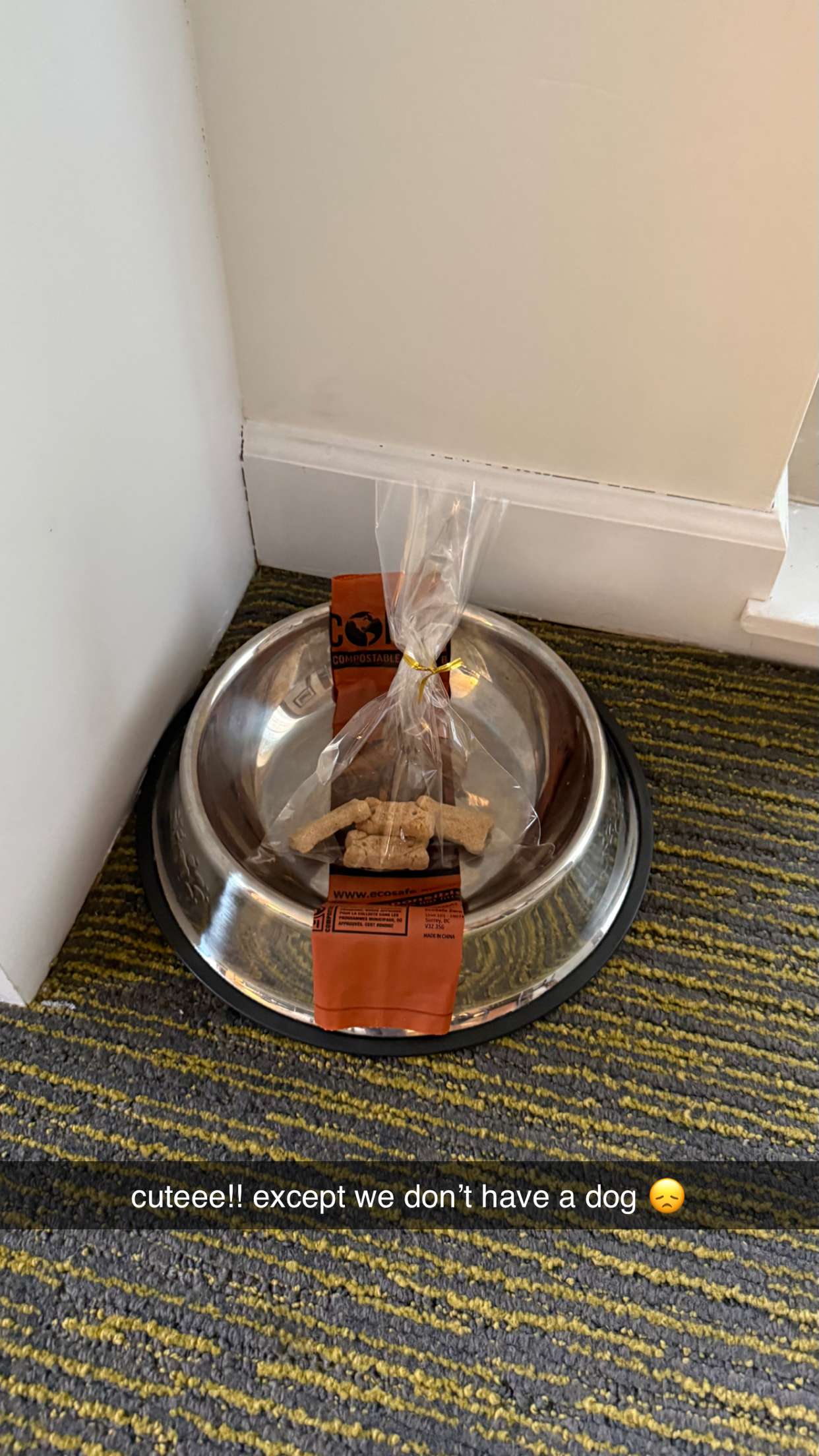 meelahrobbins snapchat image archive image