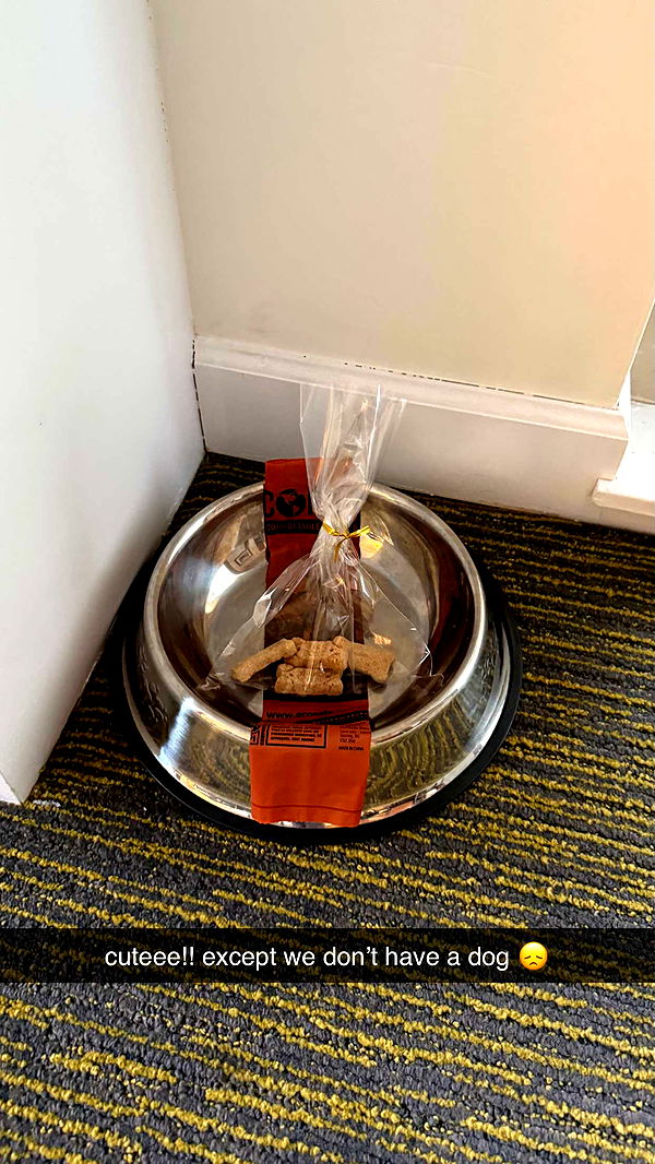 meelahrobbins image ~ Altpins