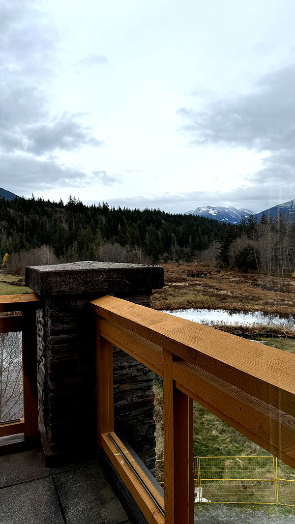 meelahrobbins image ~ Altpins