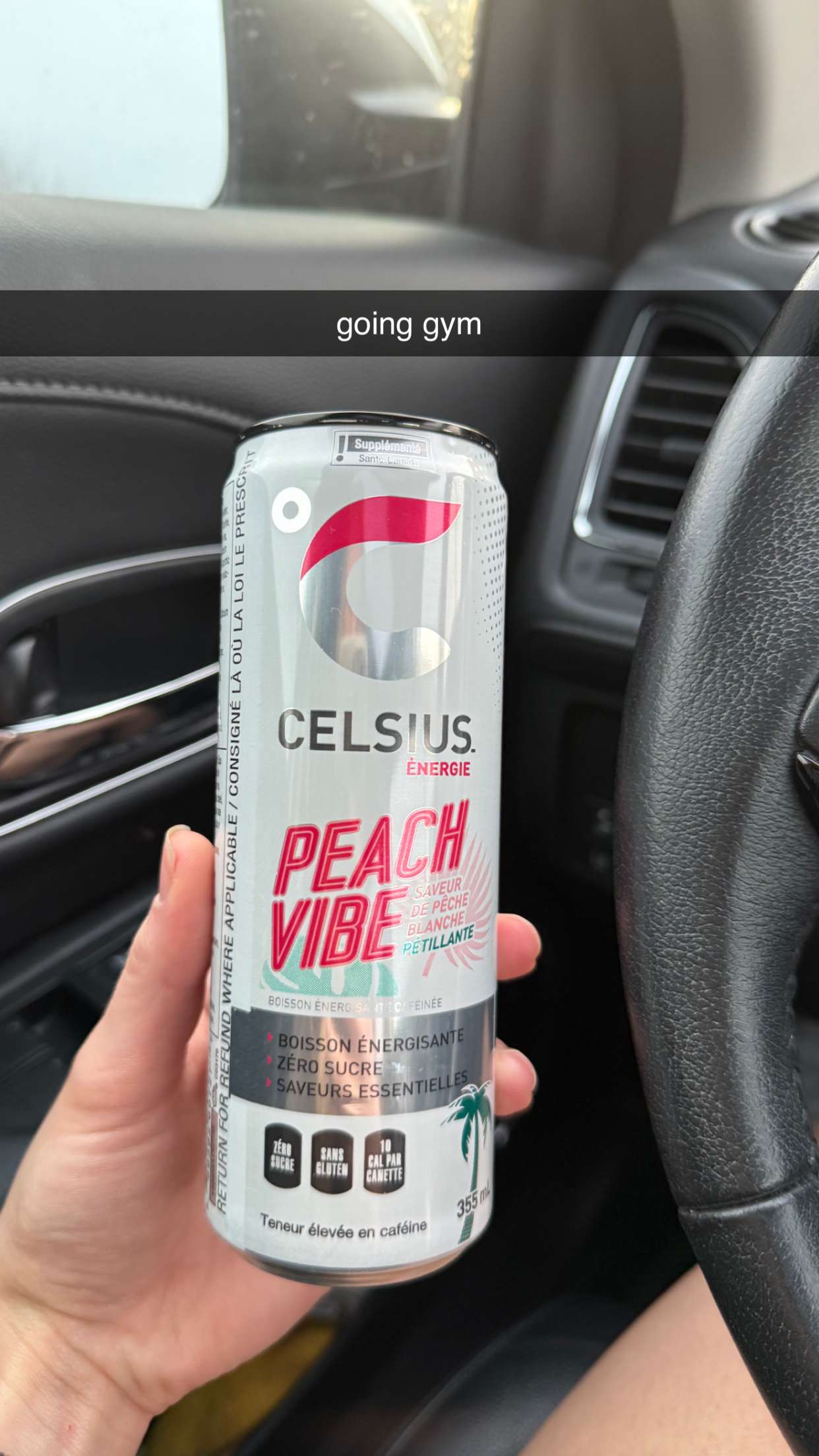 meelahrobbins snapchat image archive image