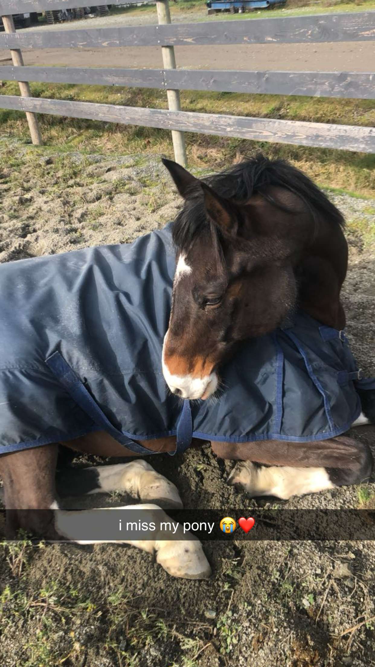 meelahrobbins snapchat image archive image