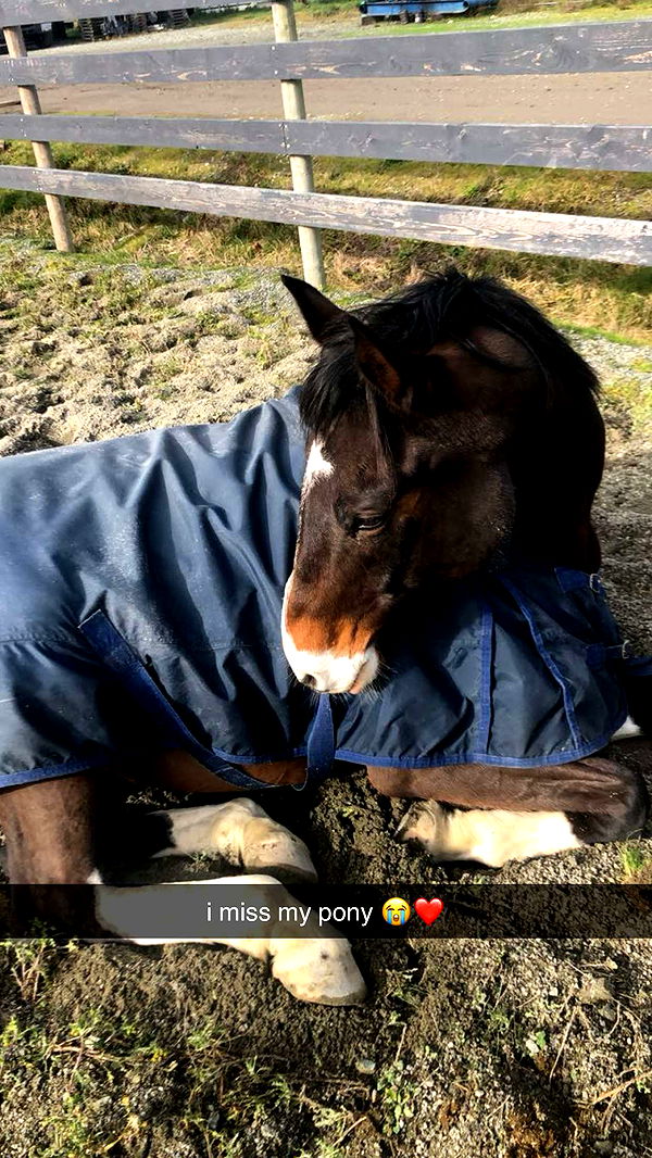 meelahrobbins image ~ Altpins