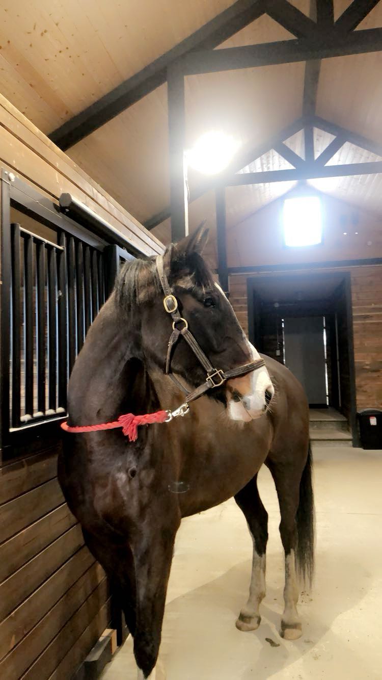 meelahrobbins snapchat image archive image