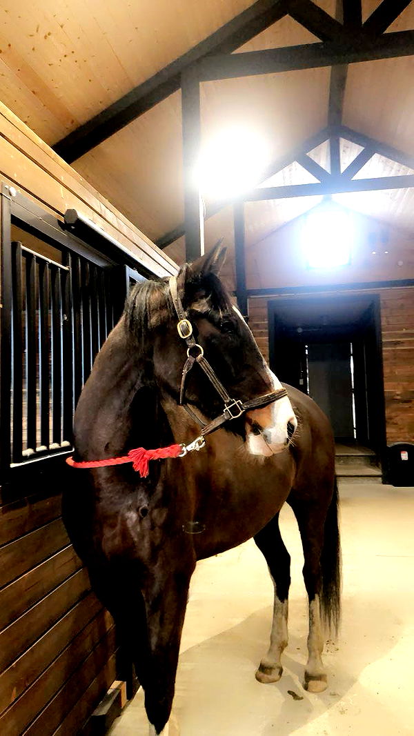 meelahrobbins image ~ Altpins