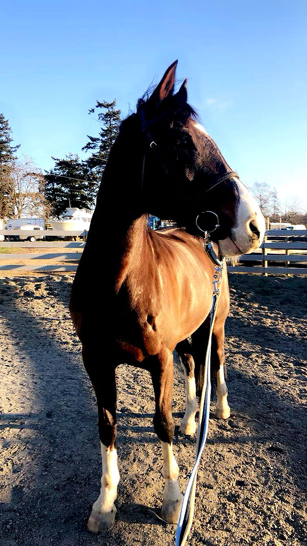 meelahrobbins image ~ Altpins